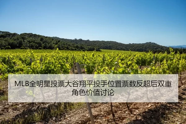 quan-ming-xing-tou-piao-da-gu-xiang-ping-tou-shou-wei-zhi-piao-shu-fan-chao-hou-shuang-chong-jue-se-jia-zhi-tao-lun-2-501.jpg